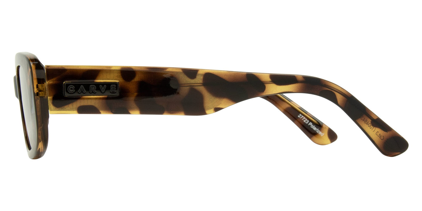 Status - Gloss Dark Tort Frame with Brown Polarized Lens