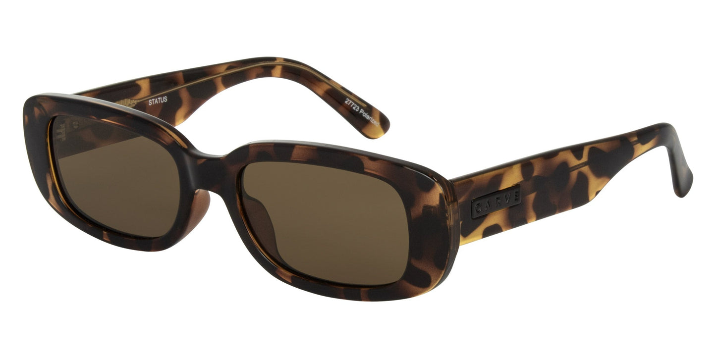 Status - Gloss Dark Tort Frame with Brown Polarized Lens