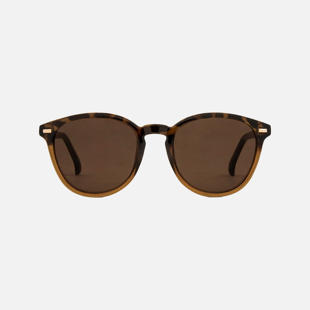 Oslo - Gloss Tort Frame Toffee Brown Lens