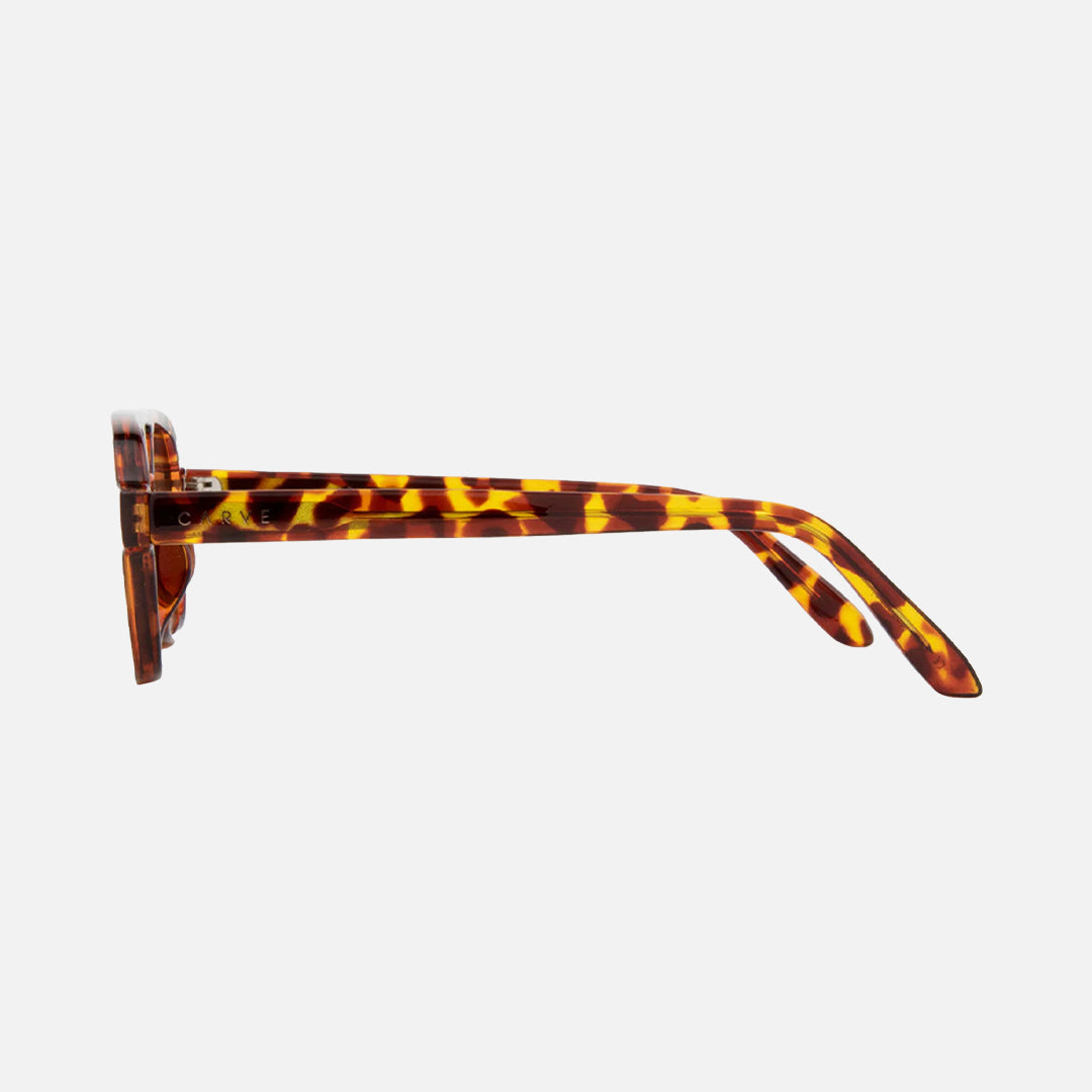 Azore - Gloss Tort Brown Gradient Lens