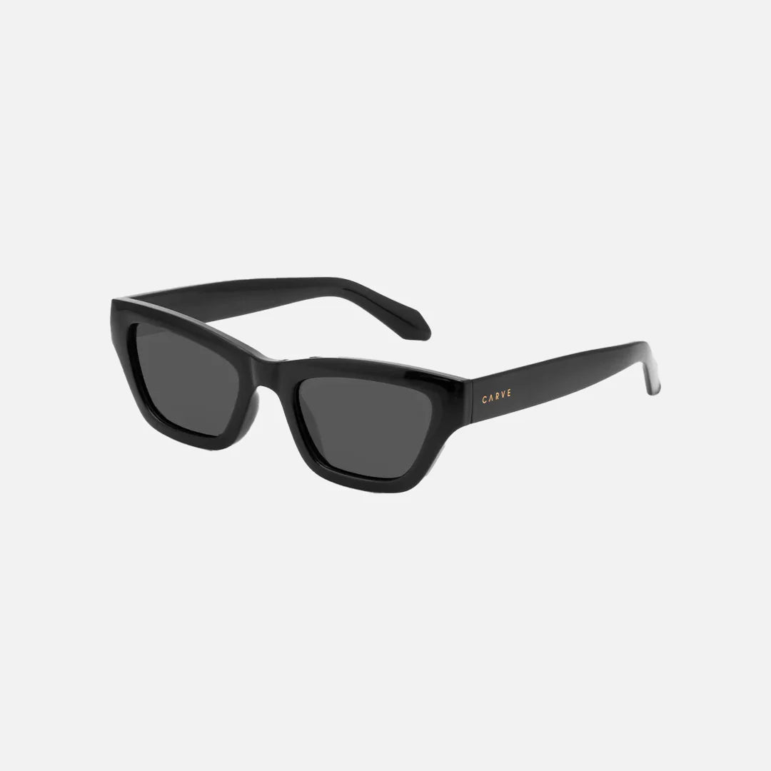 Valencia - Gloss Black with Dark Gray Polarized Lens