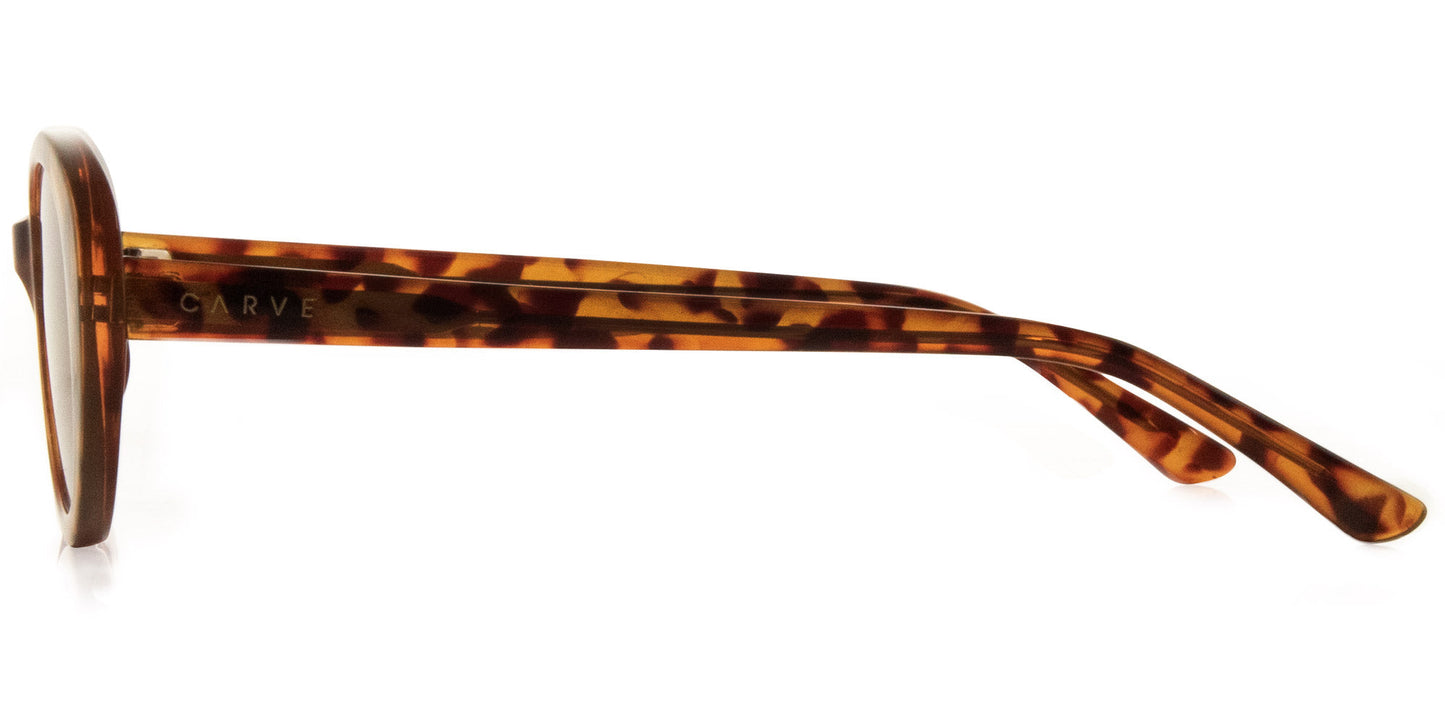Billie - Dark Amber Tort Brown Gradient Lens