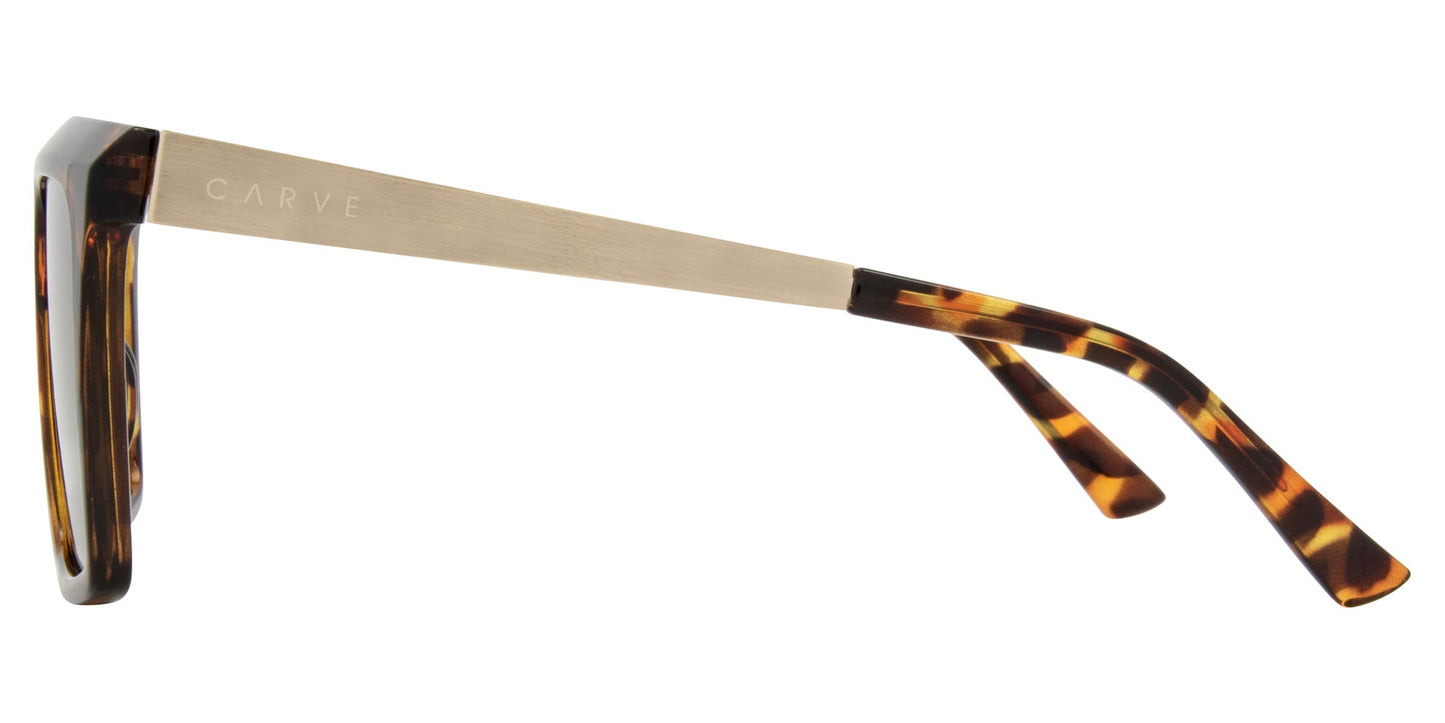 Yoshi - Gloss Tort Front with Gold Temple & Brown Lens