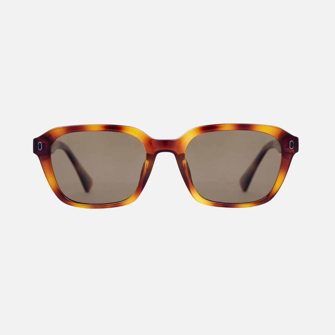 Two pairs of Carve Sunglasses in Brown and Clear color Havana - Gloss Honey Crystal Frame with Polarized Brown Lens main image 3