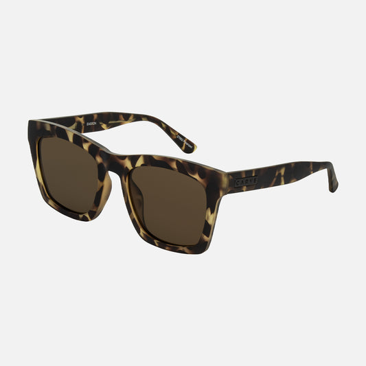 Easton - Matte translucent Tort Brown Polarized Lens