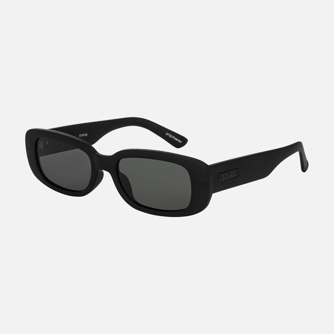 Status - Matt Black Grey Injected Polarized Lens