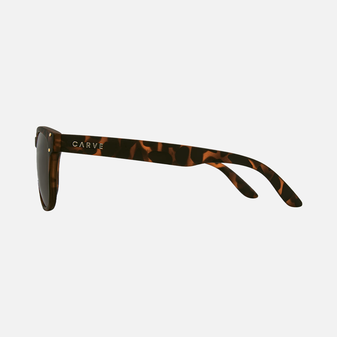 Bohemia - Matt Tort Frame Brown Injected Polarized Lens