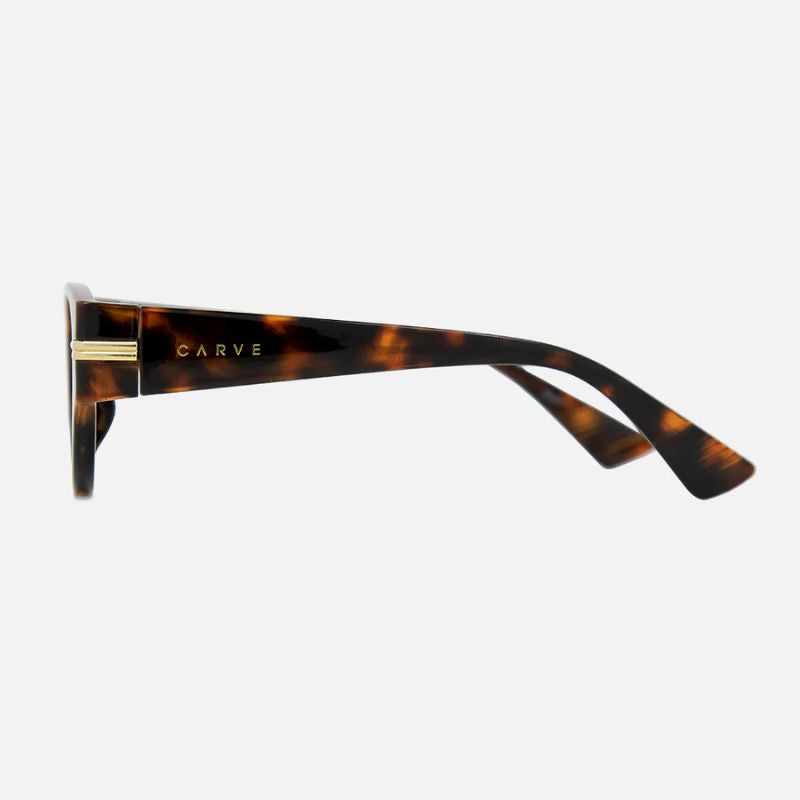 Rhode - Gloss Tort Frame Brown Lens