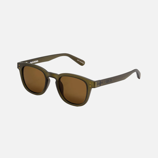 Havana - Olive Translucent Frame Gray Polarized Lens