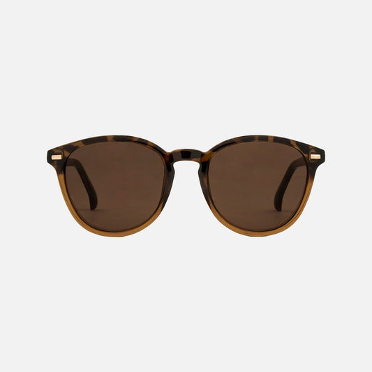 Oslo -  Gloss Tort Frame Toffee Brown Lens