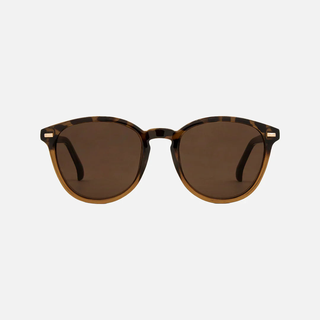 Oslo - Gloss Tort/Toffee with Brown Lens