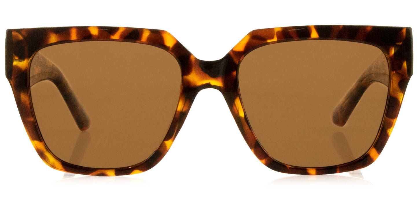 Brooklyn - Gloss Tort Brown Injected Polarized Lens