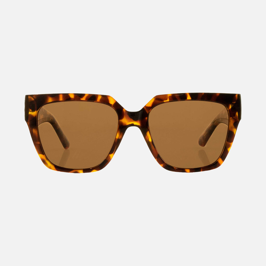 Brooklyn - Gloss Tort Brown Injected Polarized Lens