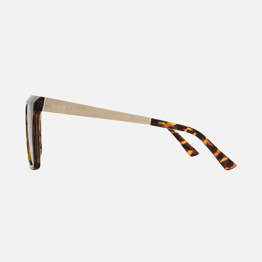 Yoshi - Gloss Tort Frame with Gold Temple Brown Lens