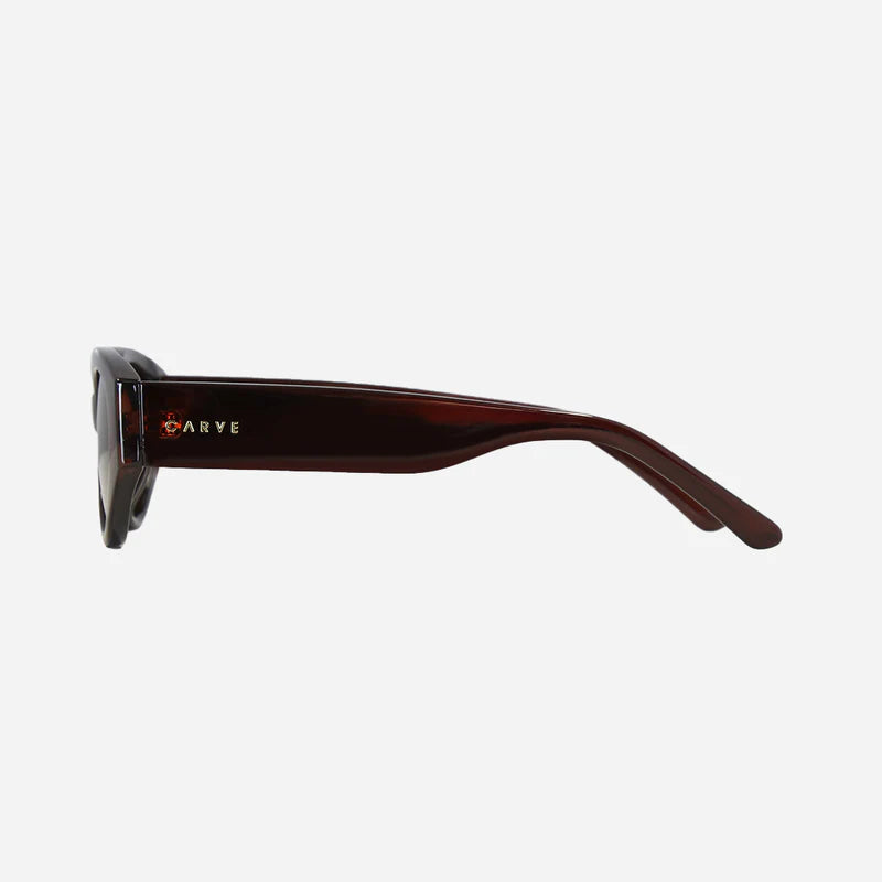 Lola - Gloss Chocolate Brown with Brown Lens