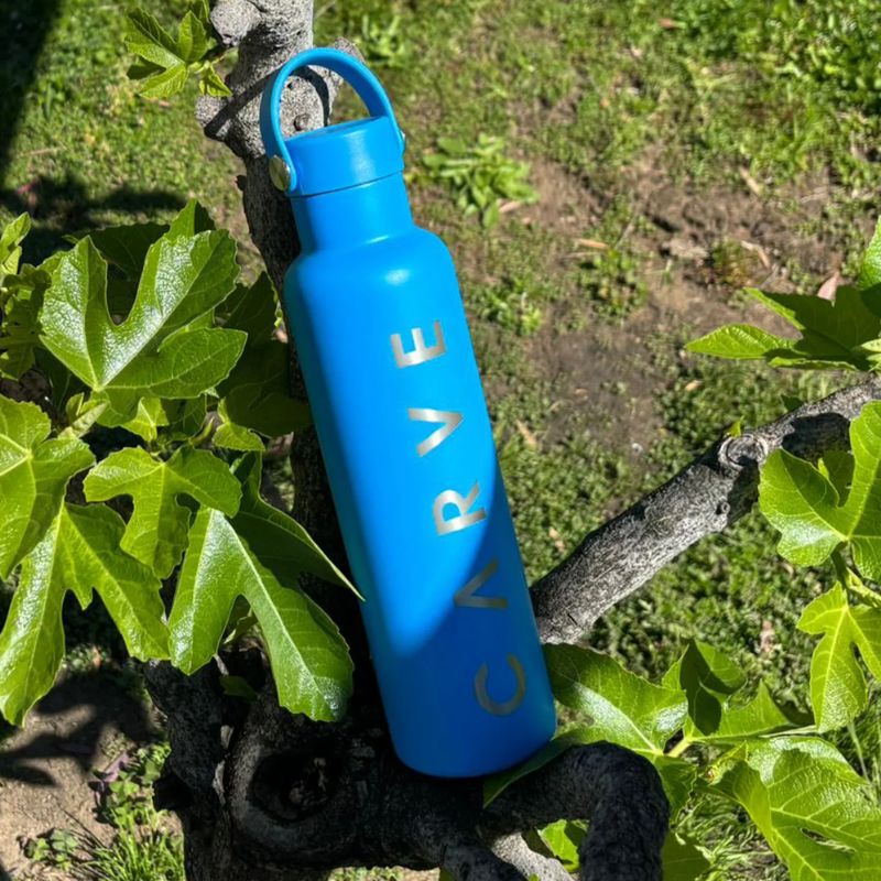 Blue water bottle with 'CARVE' branding on a branch with green leaves