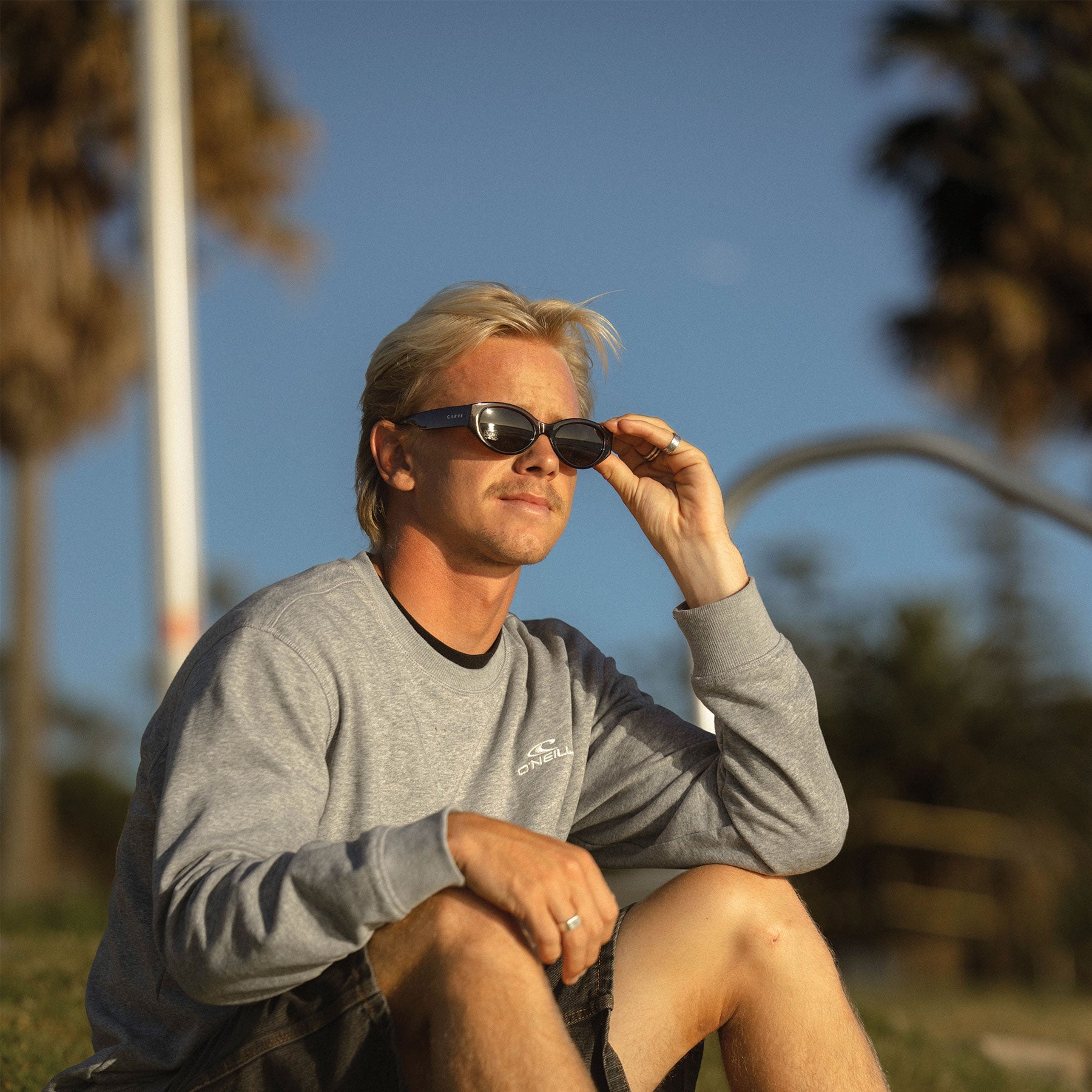 Lola - Dark Brown with Brown Lens