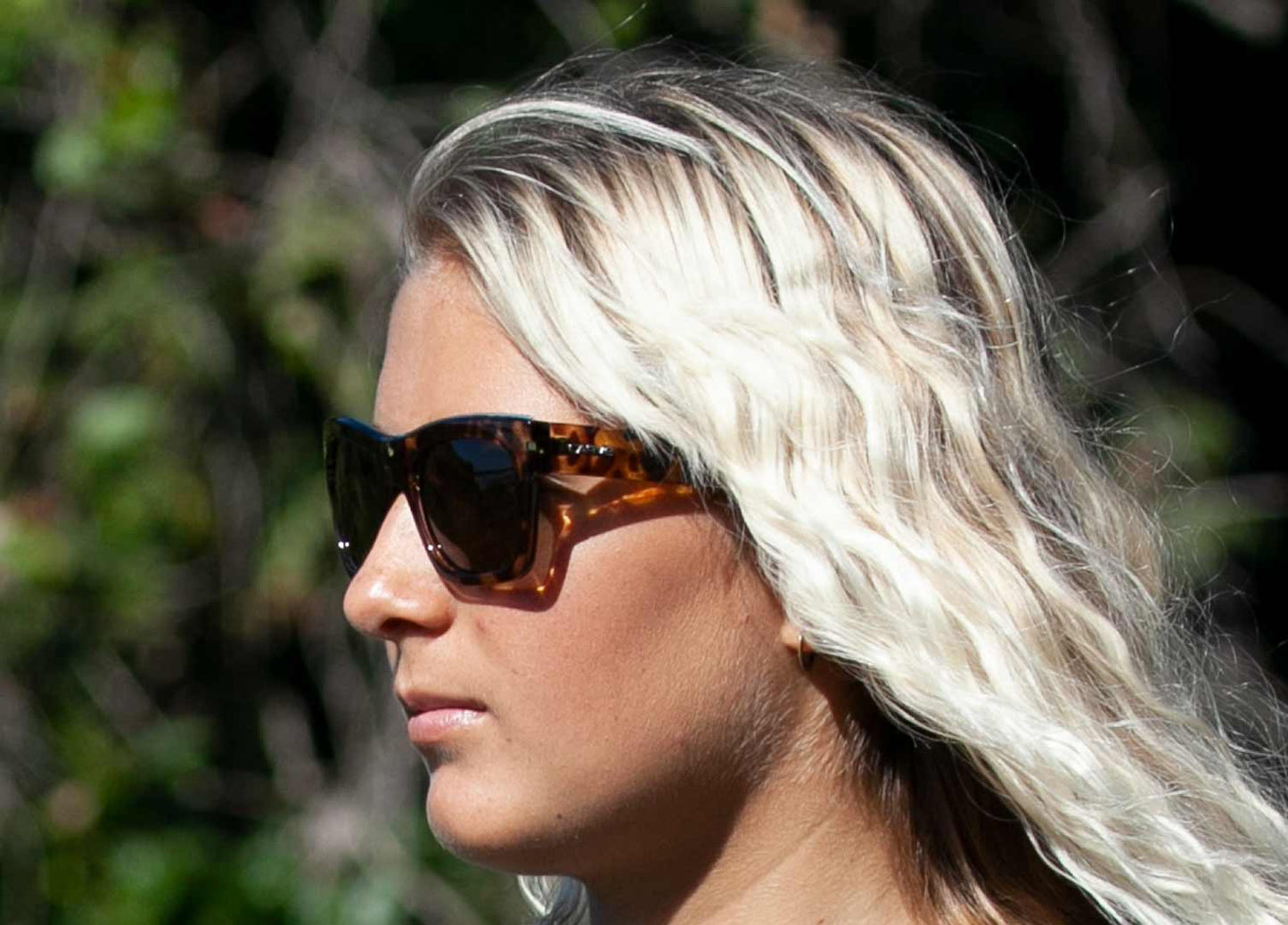 Carta Blanca - Polarized Gloss Tort Frame Sunglasses