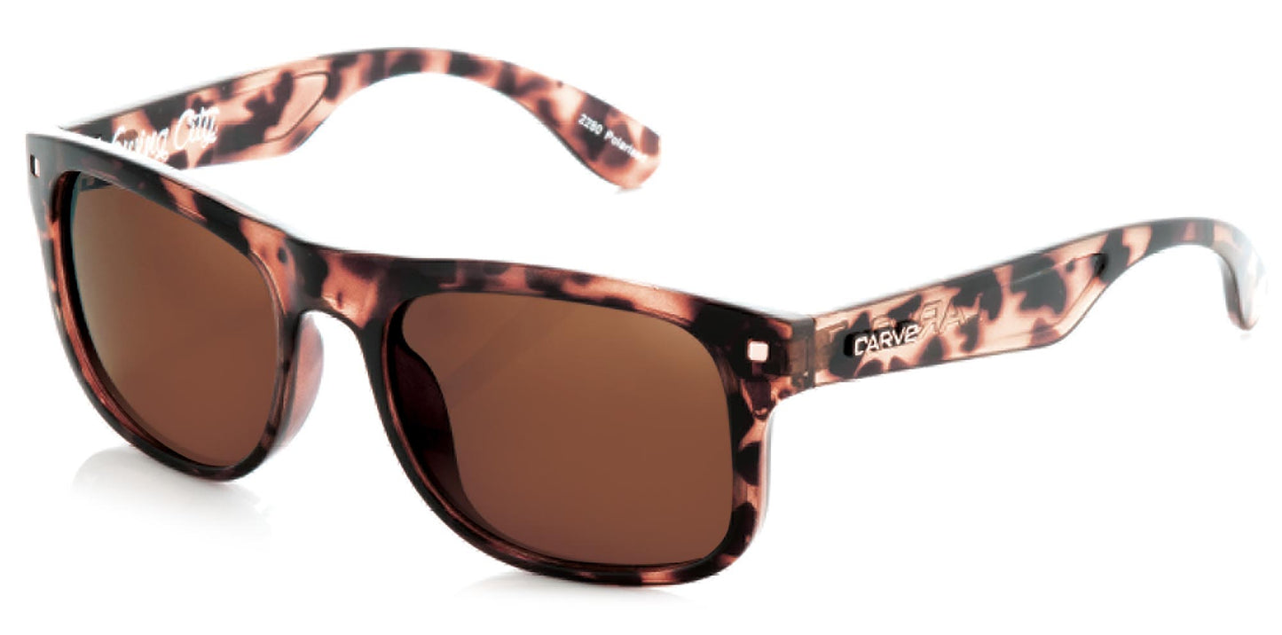 Swing City - Polarized Gloss Tort Frame Sunglasses