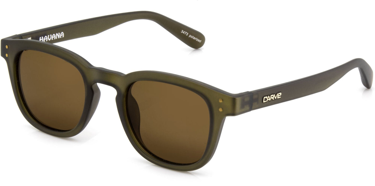 Havana - Polarized Olive Translucent Frame Sunglasses