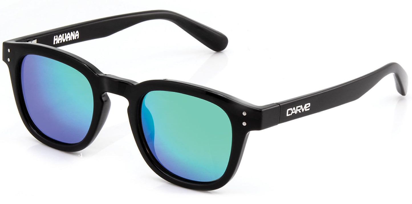 Havana - Polarized Iridium Gloss Black Frame Sunglasses