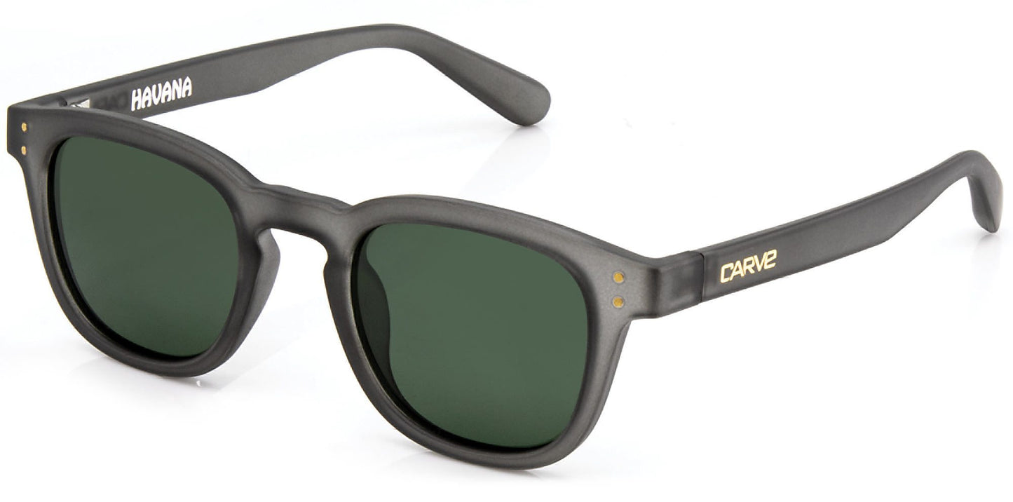 Havana - Polarized Gray Translucent Frame Sunglasses